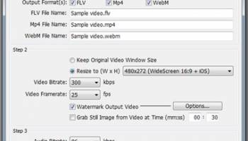 EasyFLV Web Video Encoder screenshot
