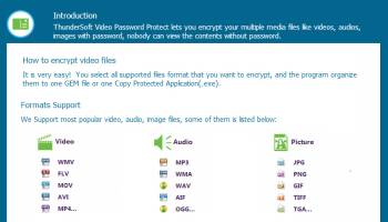 Video Password Protect screenshot