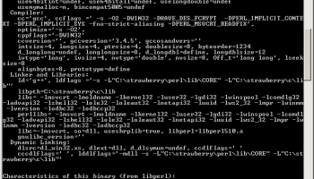 Strawberry Perl Portable x64 screenshot