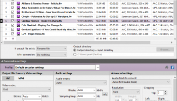 Pazera Free FLV to AVI Converter screenshot