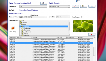 SSuite Desktop Search Engine screenshot