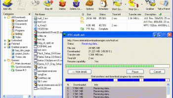 InternetDownload Manager screenshot