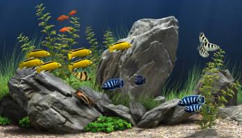 Dream Aquarium screenshot