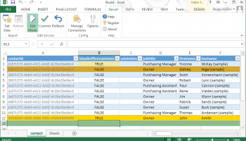 Excel Add-in for Dynamics CRM screenshot