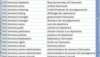 Dataprocessing Dictionary English French screenshot