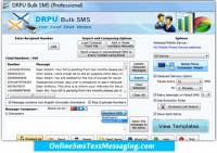 Online Sms Text Messaging software screenshot