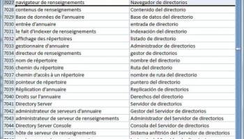 Dataprocessing Dictionary French Spanish screenshot