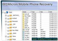 Mobile Recovery Software screenshot
