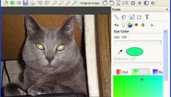 Pet Eye Fix Guide screenshot