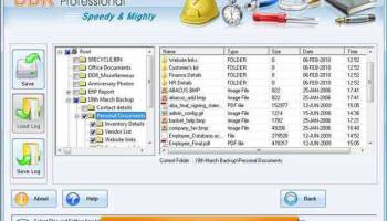 DDR Professional Data Recovery Software screenshot