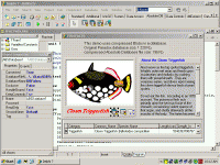 Absolute Database screenshot
