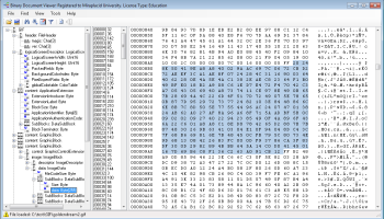 Miraplacid Binary and Text DOM SDK screenshot