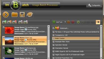 ImBatch screenshot