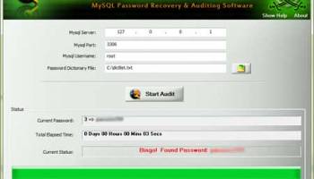 Mysql Password Auditor screenshot