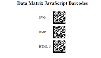 JavaScript Data Matrix Generator screenshot