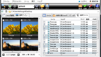 FileMany 64-bit screenshot