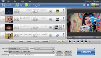 AnyMP4 Video Converter Platinum screenshot