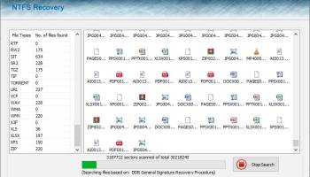 Software Recovery screenshot
