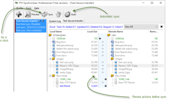 FTP Synchronizer Professional screenshot