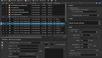 Pazera Free MP4 to MP3 Converter screenshot
