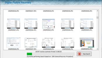 Digital Pictures Undelete Software screenshot