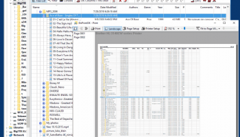 DirPrintOK screenshot