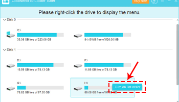 Cocosenor BitLocker Tuner screenshot
