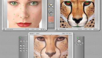 Abrosoft FantaMorph Pro screenshot