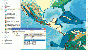 ArcReader screenshot