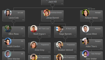 BALKAN OrgChartJS screenshot