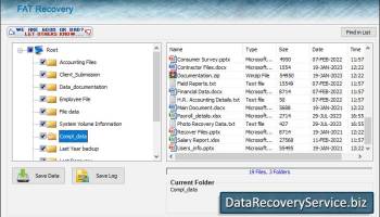 FAT Data Recovery Service screenshot
