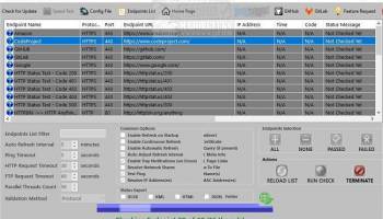 Endpoint Status Checker screenshot