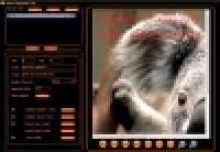 Viscom Store Batch Watermark Text screenshot