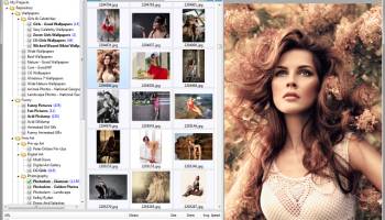 NeoDownloader screenshot