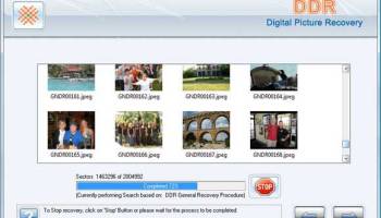 DDR Digital Pictures Recovery screenshot