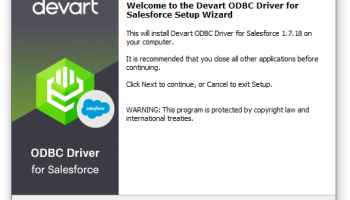 Salesforce ODBC Driver by Devart screenshot