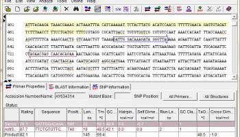 Primer Premier screenshot