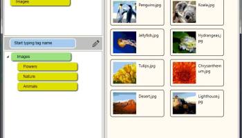 TagsForAll screenshot