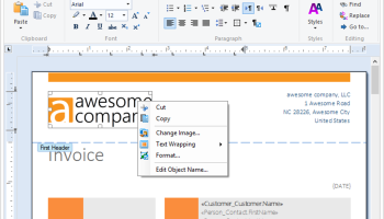 TX Text Control .NET Express screenshot