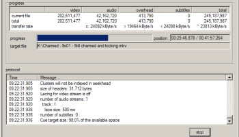 AVIMux GUI screenshot
