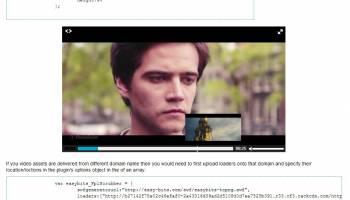 Flowplayer html5 scrubber preview plugin screenshot