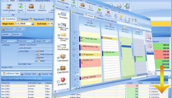 OrgFinances for Workgroup screenshot