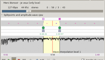 X-Mp3splt screenshot