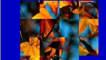 Puzzle Mania Pro screenshot