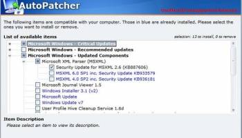 AutoPatcher Updater screenshot