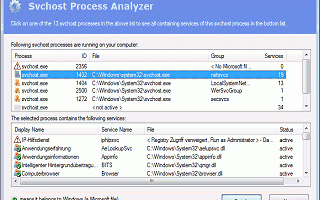 Svchost Process Analyzer screenshot