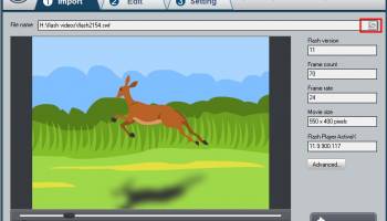 Amazing Flash to MP4 Converter screenshot