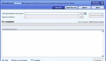 DataNumen Oracle Recovery screenshot