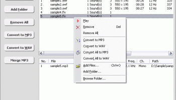 SWF FLV to MP3 Converter screenshot