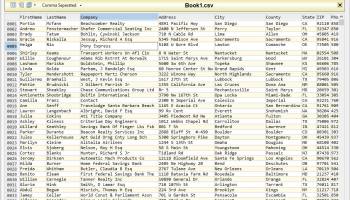 Ron's Editor screenshot